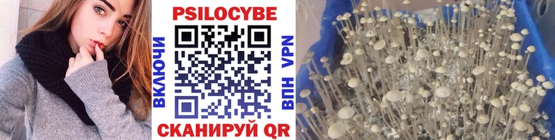 Псилоцибиновые грибы ЛСД  MEGA сайт  Кунгур 